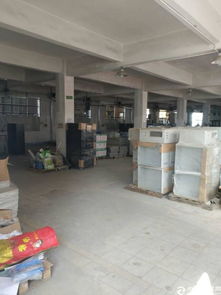 公明南光高速出口精品小独院厂房招租及商务信息咨询服务