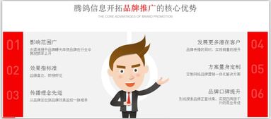 腾鸽信息 一站式网络营销外包与商务咨询服务，驱动企业数字化增长